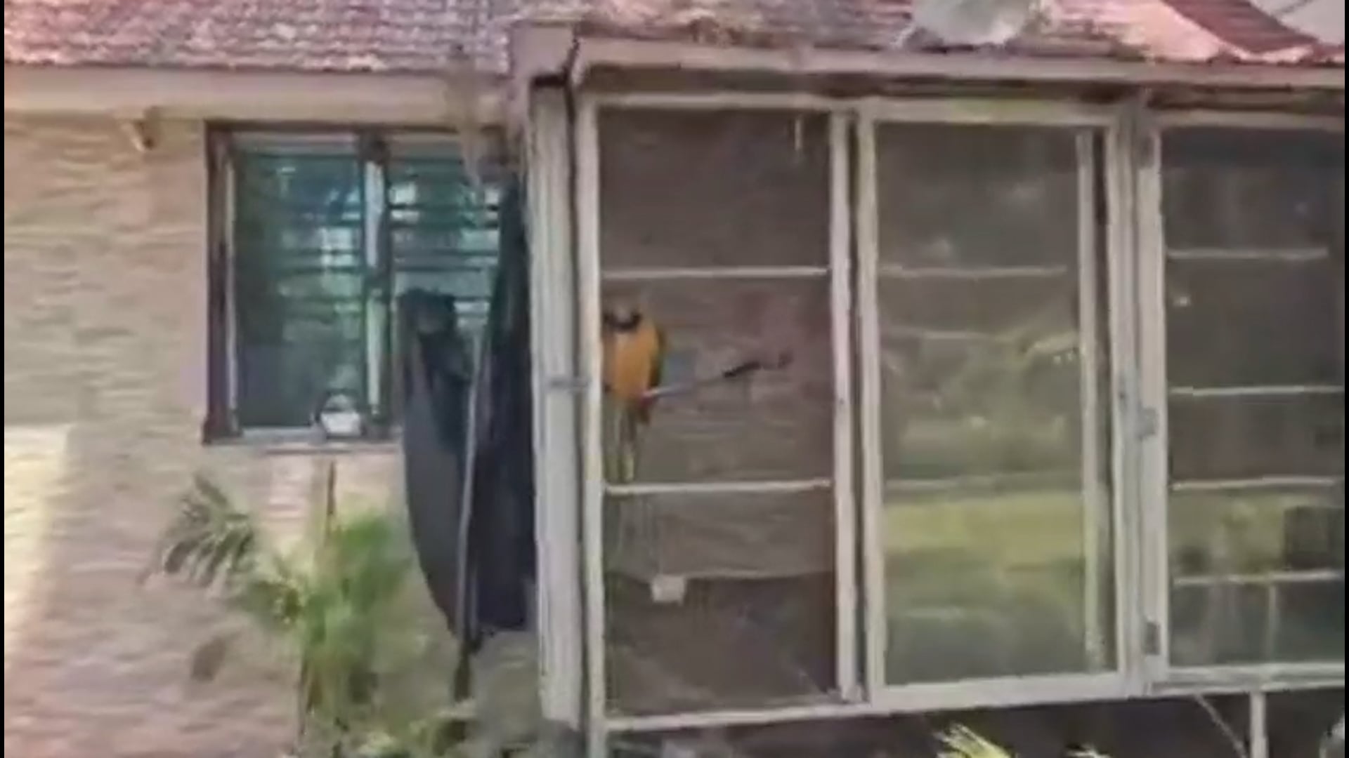 ▶️.....ये कोई टूरिस्ट रिजॉर्ट नहीं•••तृणमूल-कांग्रेस नेता का घर है।