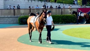 動画サムネイル