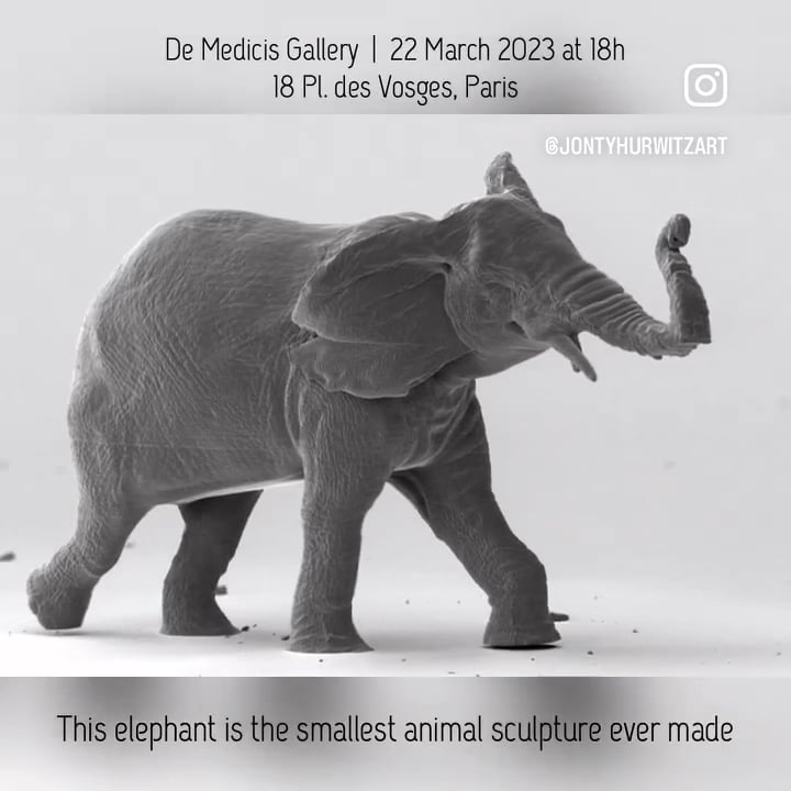 Fragile Giant Medicis.MP4