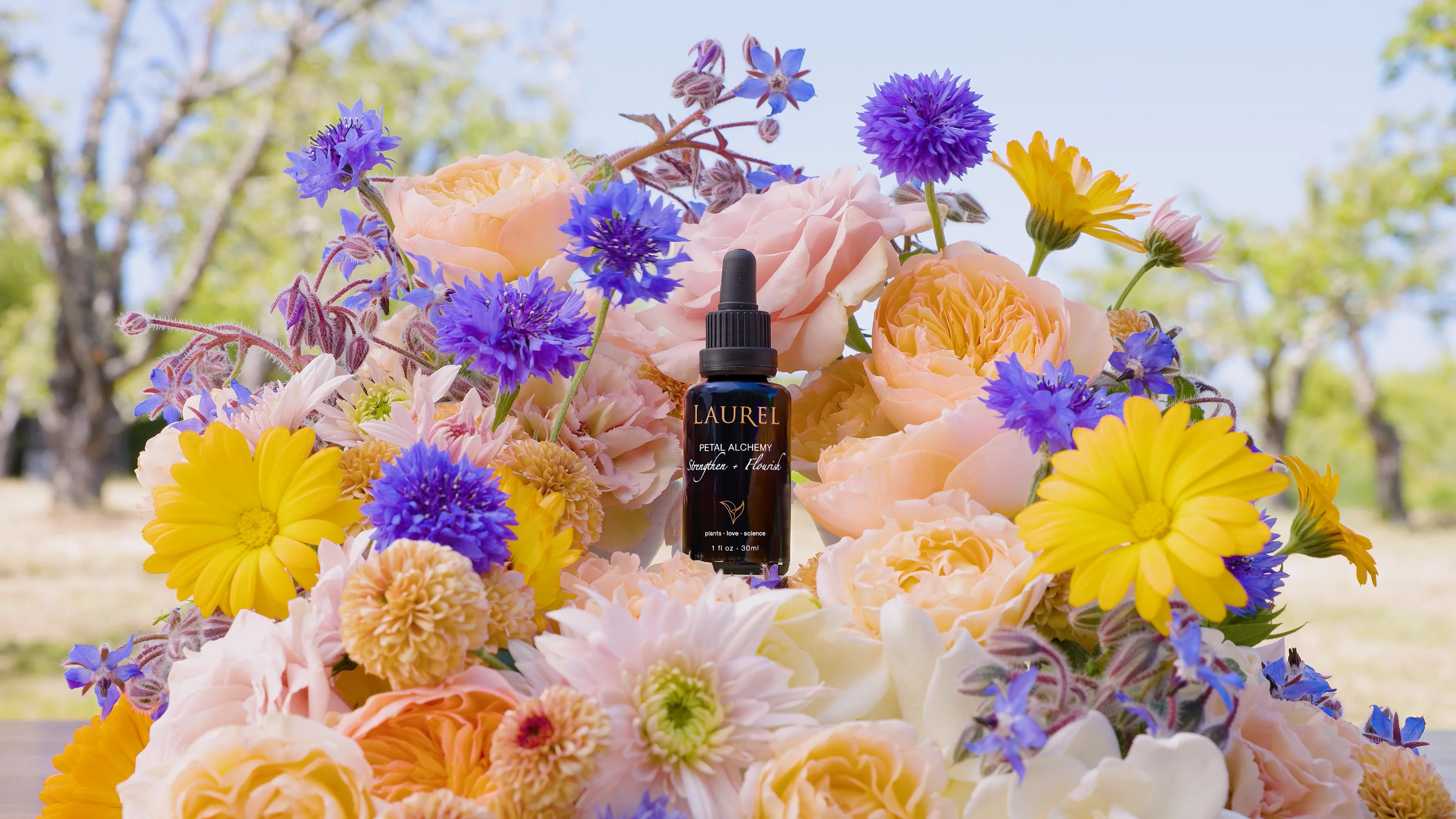 Petal Alchemy on the Farm
