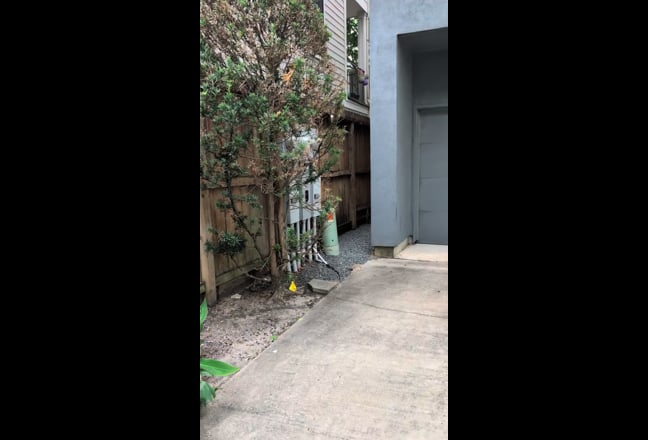 Room For Rent / Midtown / Montrose  Main Photo