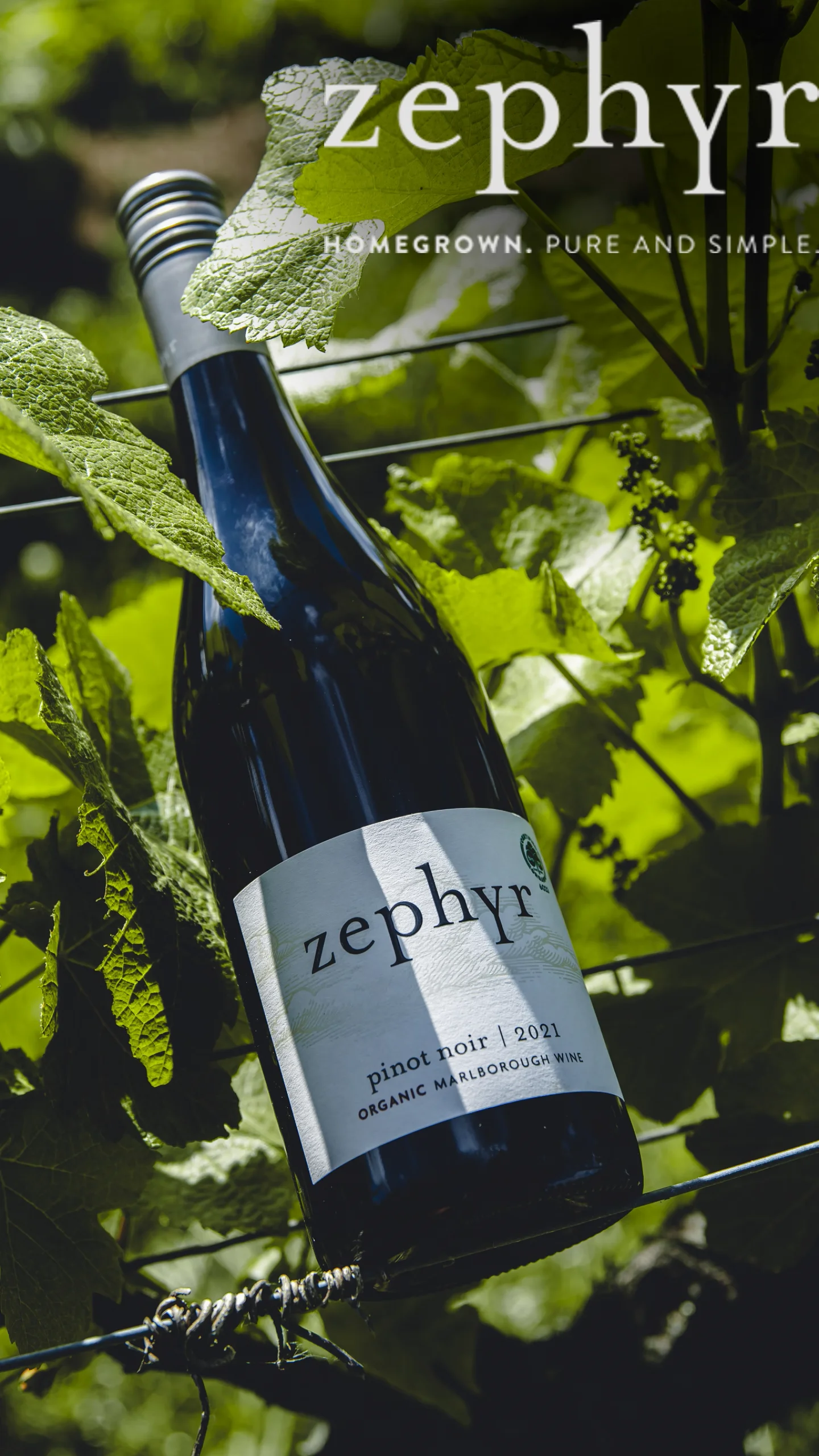 Organic Pinot Noir - Zephyr Wine