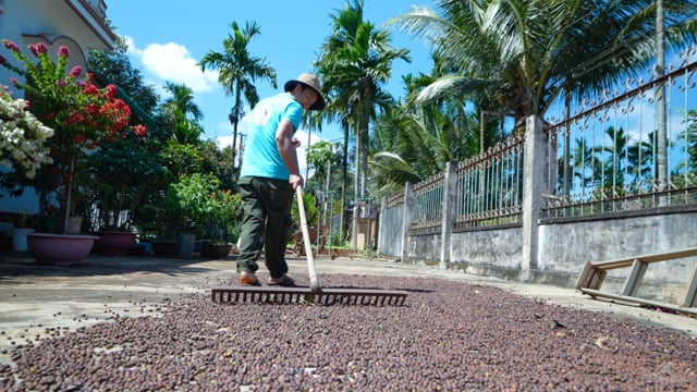 Vietnam: Deaf Coffee Farmer