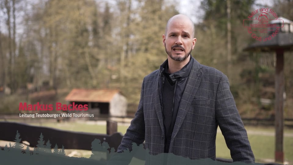 Terramagika liefert Video Nummer 4 an TERRAvita aus. Rahmenvertrag steigt auf 24.000 €