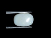 C0771