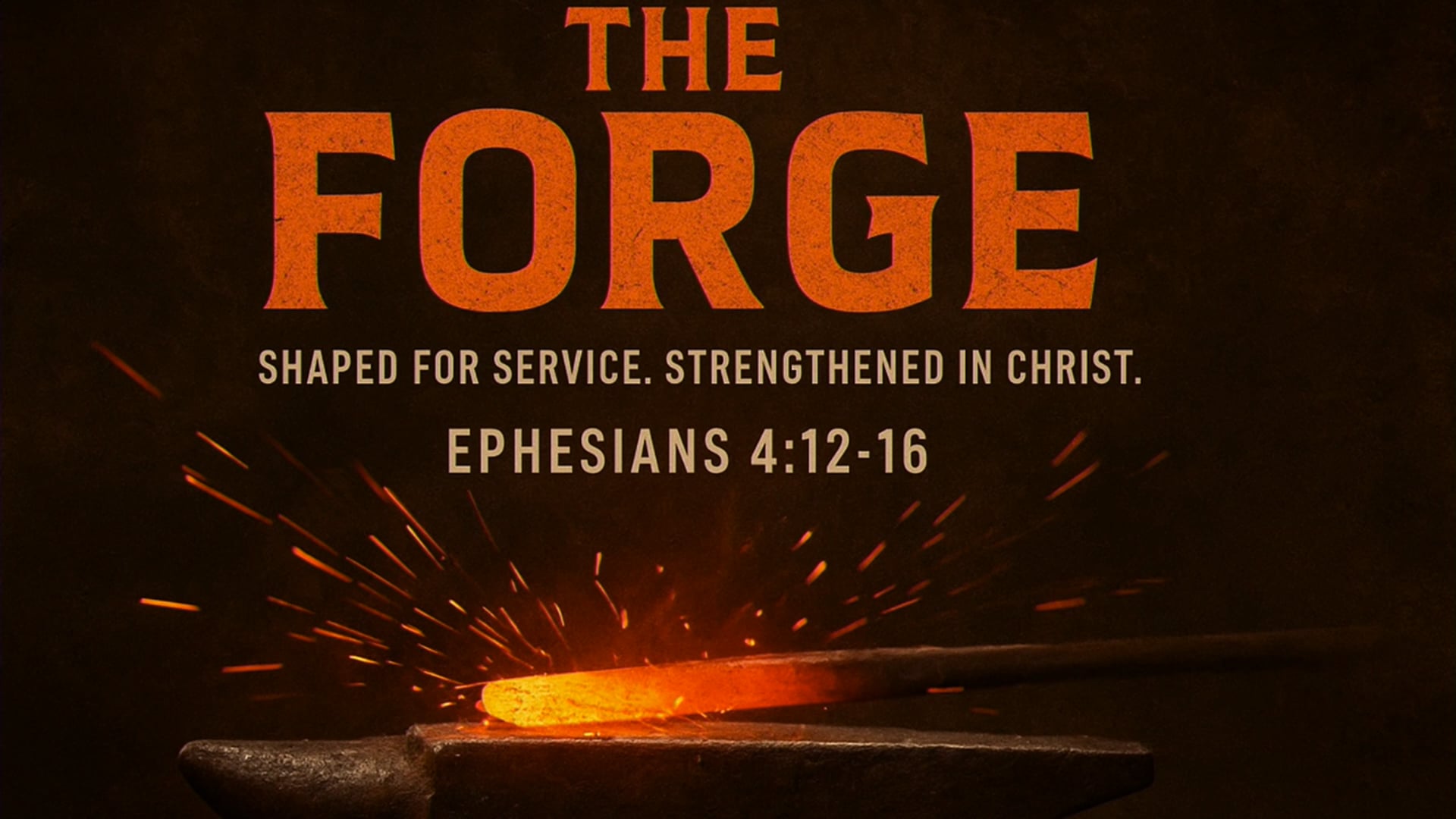 Session 9- How to Study the Bible