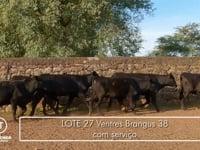 Lote 27