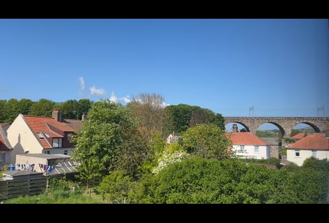 Video 1: 