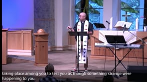 Related Embedded Video Item Thumbnail