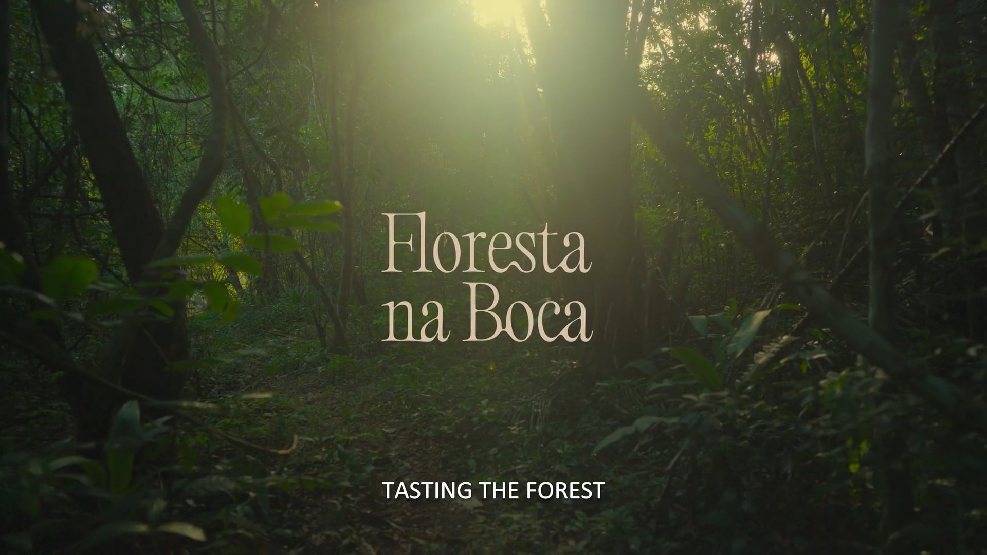 Tasting the Forest (Floresta na Boca) - Trailer [Portuguese audio with English subtitles]
