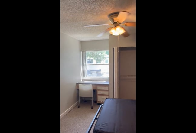 Housing for USF student or anyone Main Photo
