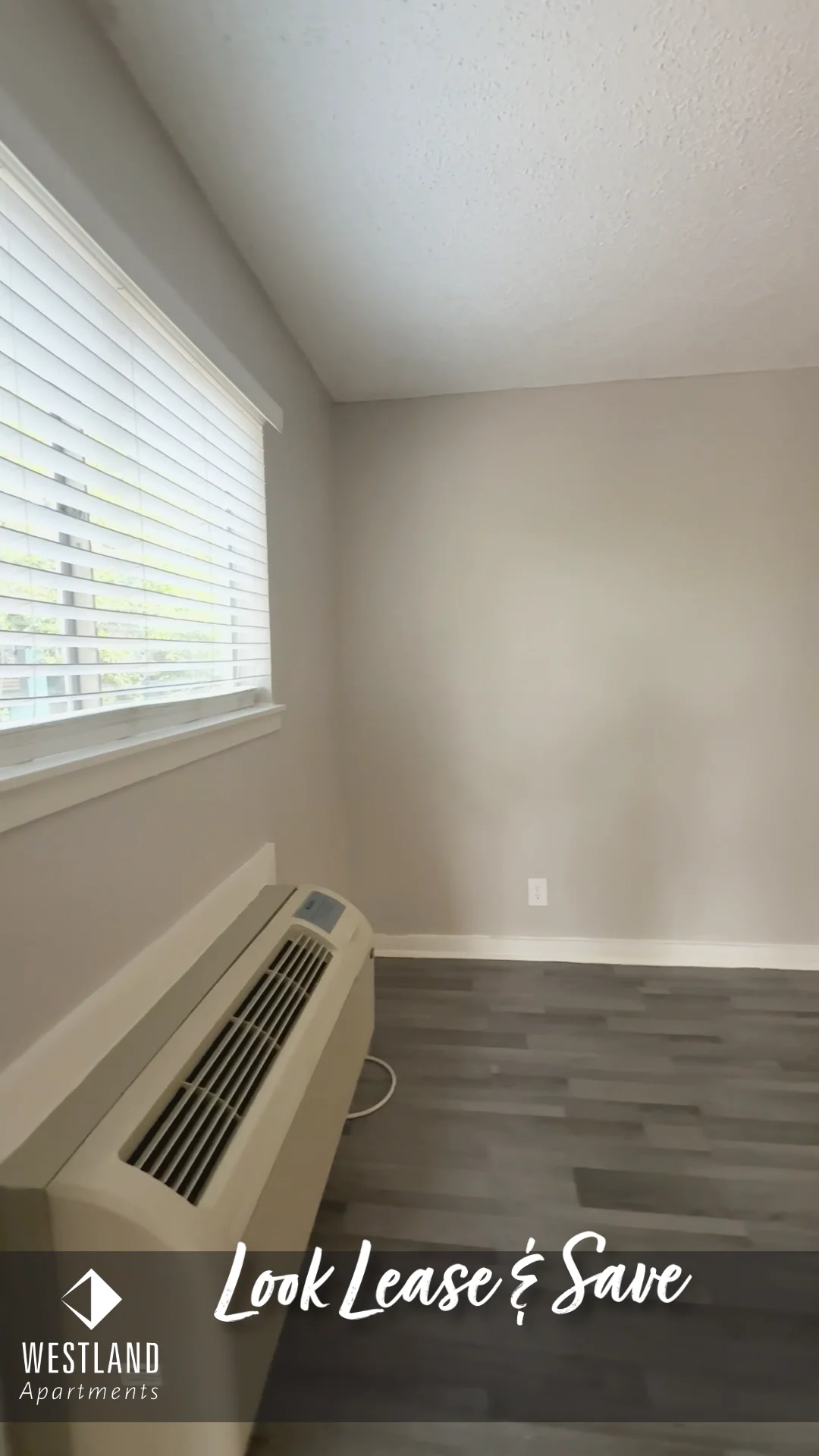 Video Tour of Studio
