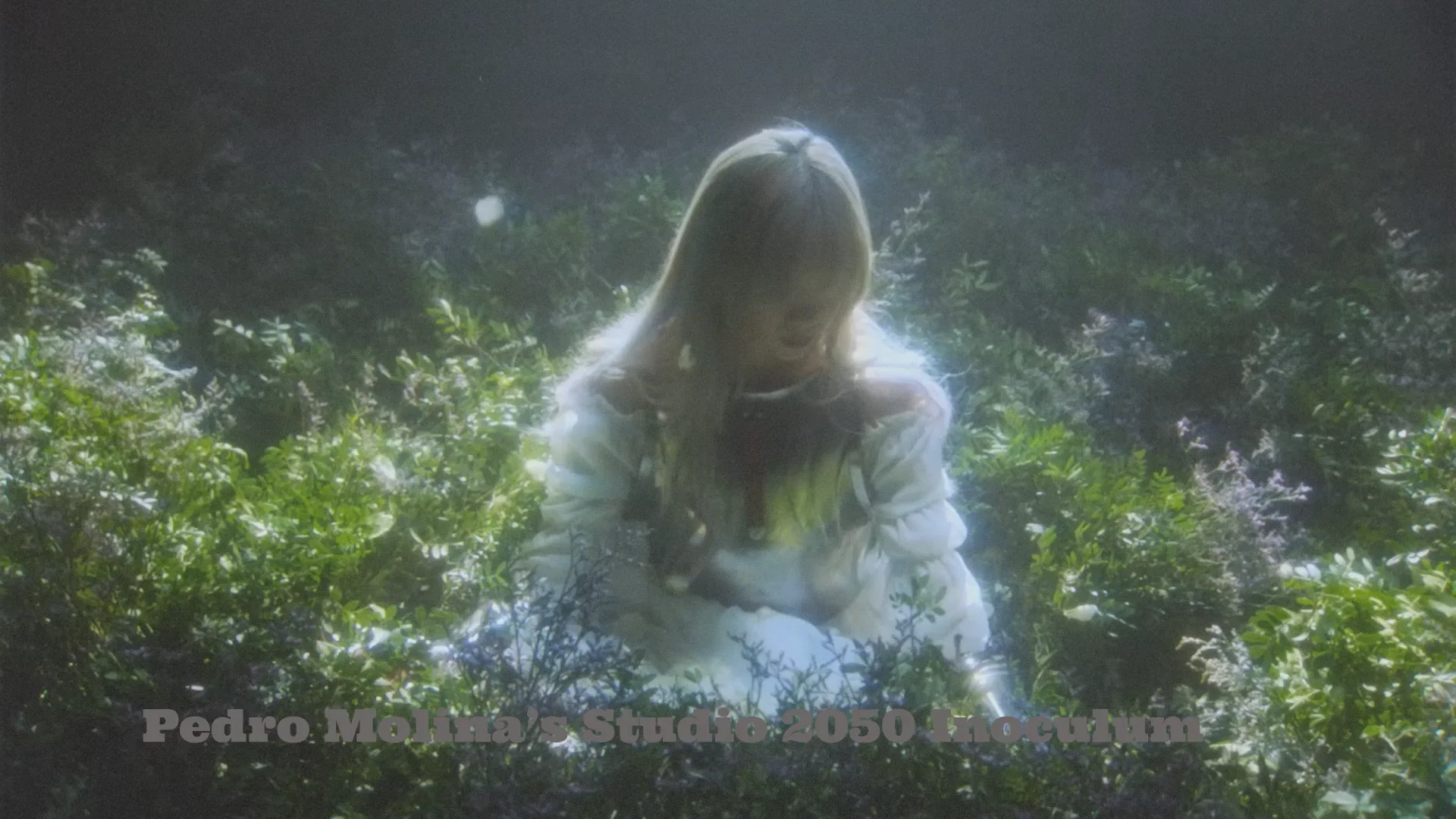Main first 30 mins Spring 26 | Videos & Movies on Vimeo