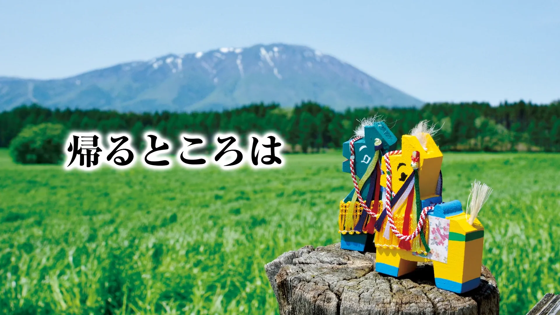 生命の光』879号 “Light of Life”【ミニ動画つき】 - 『生命の光