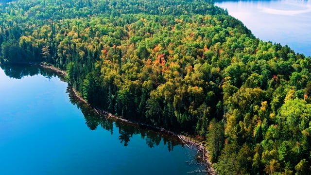 Coon Lake