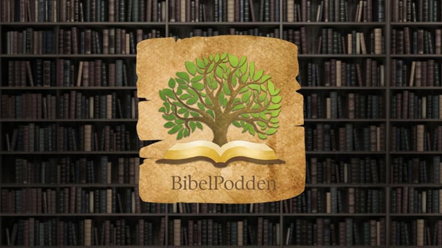 Bibelsyn - vilken roll spelar den?