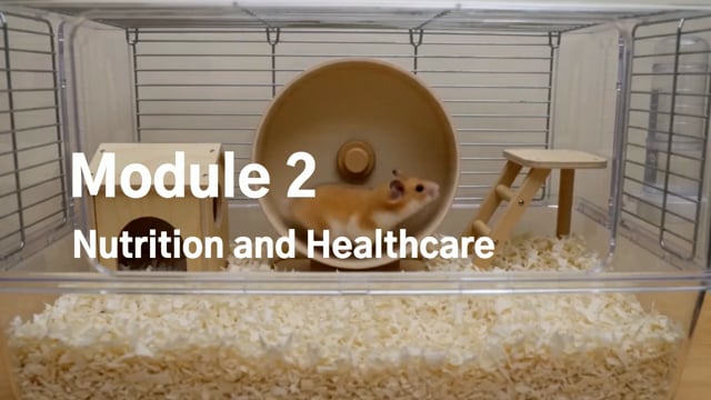 Module 02: Nutrition and Healthcare - Video Thumbnail