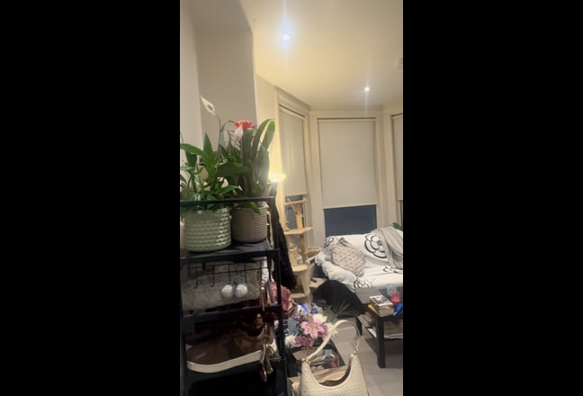 One bedroom Ground floor flat vacant 1st June Main Photo