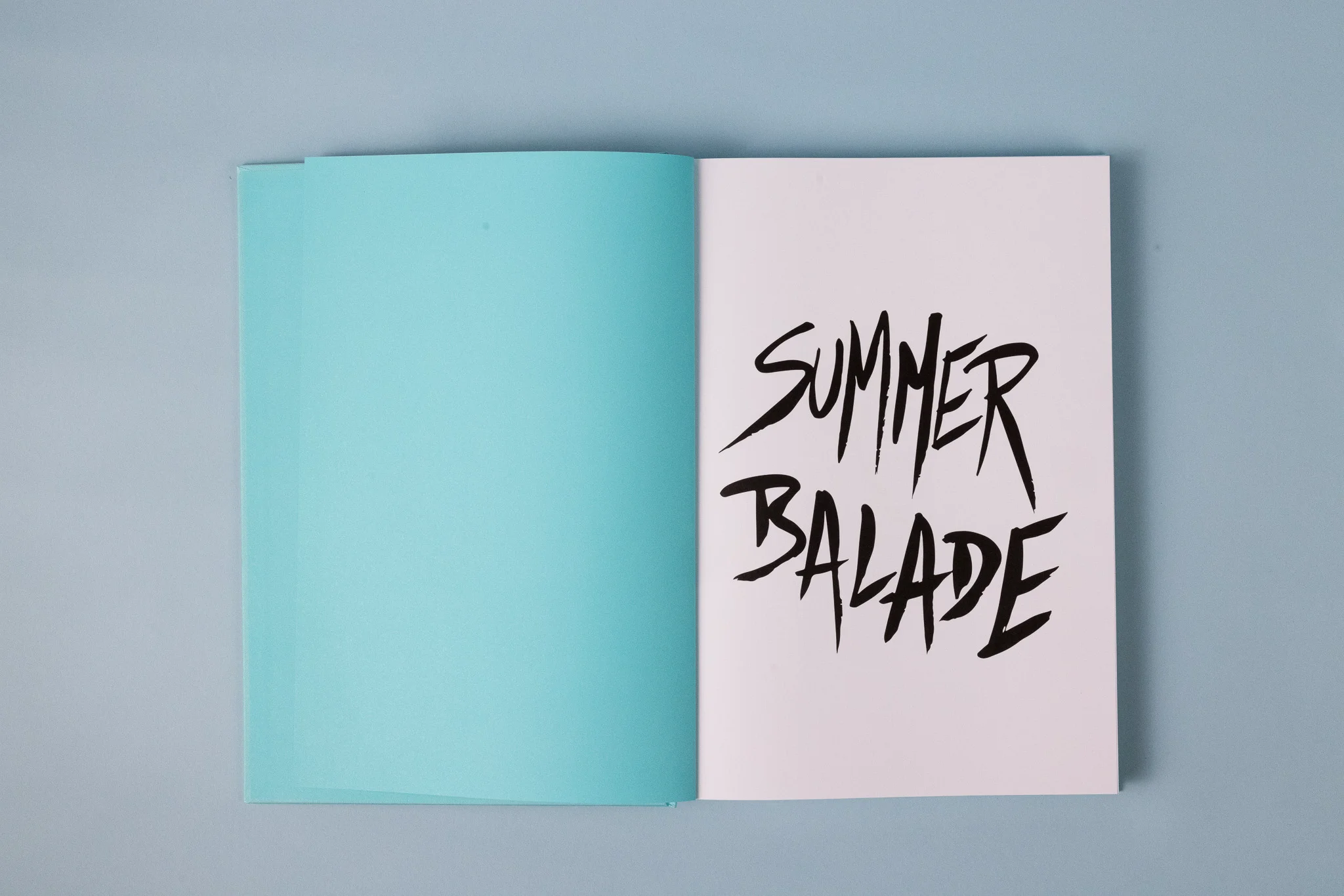 Summer Balade - Art Book - LOLA JAMES HARPER