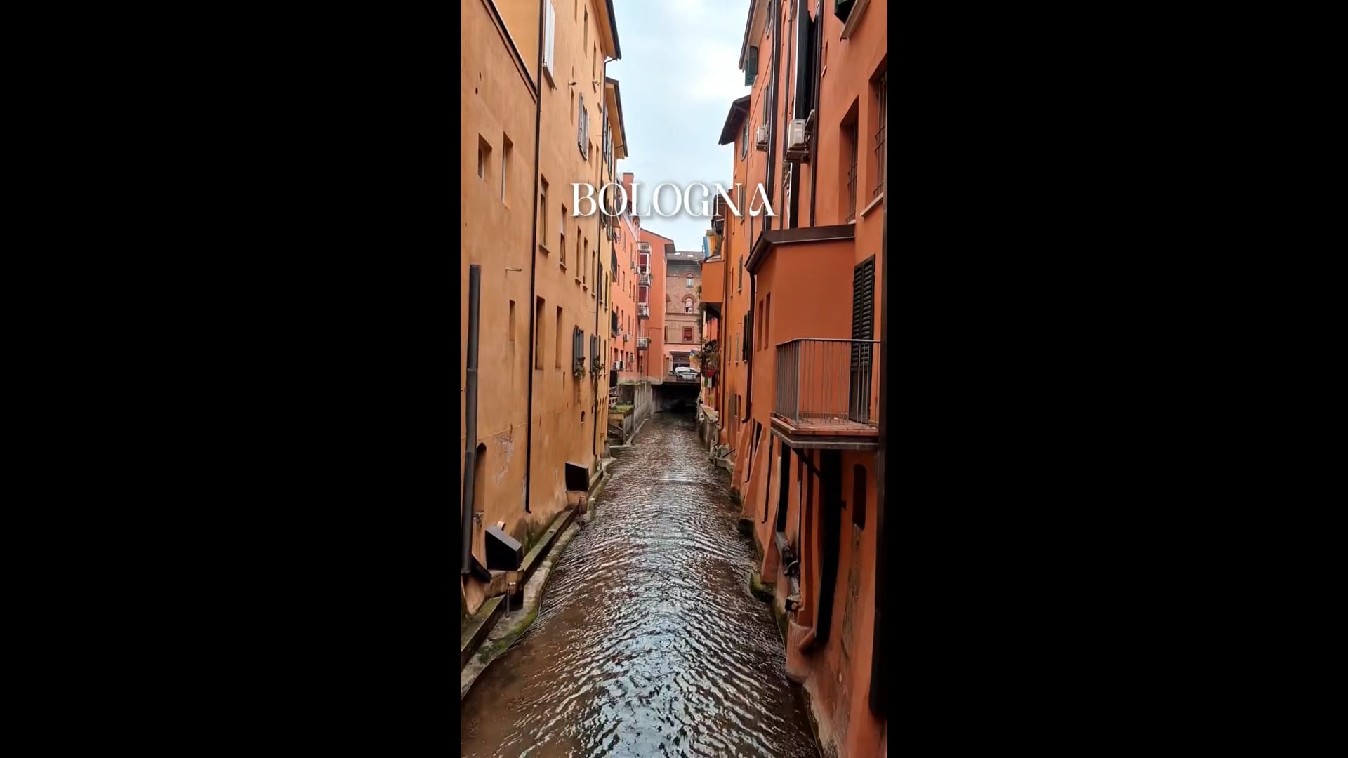 Bologna Reel