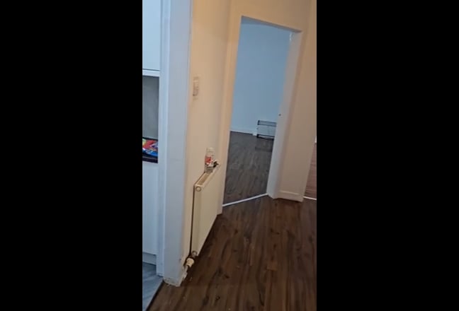 Fleshly renovated full flat available  Main Photo