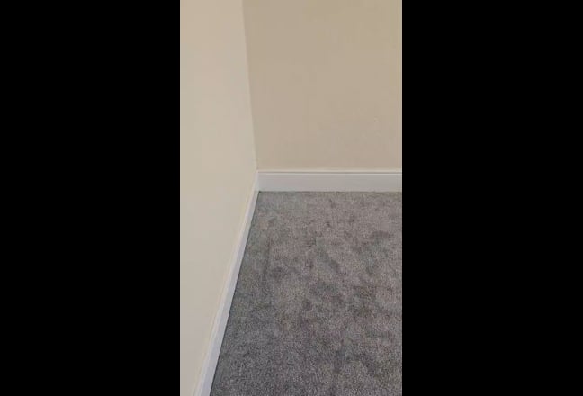 Single Room -  Renovation Still in Progress! Main Photo