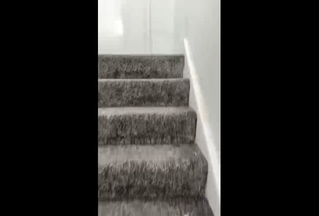 🏠Spacious Ensuite Room in Southfield – NOW!❤️ Main Photo