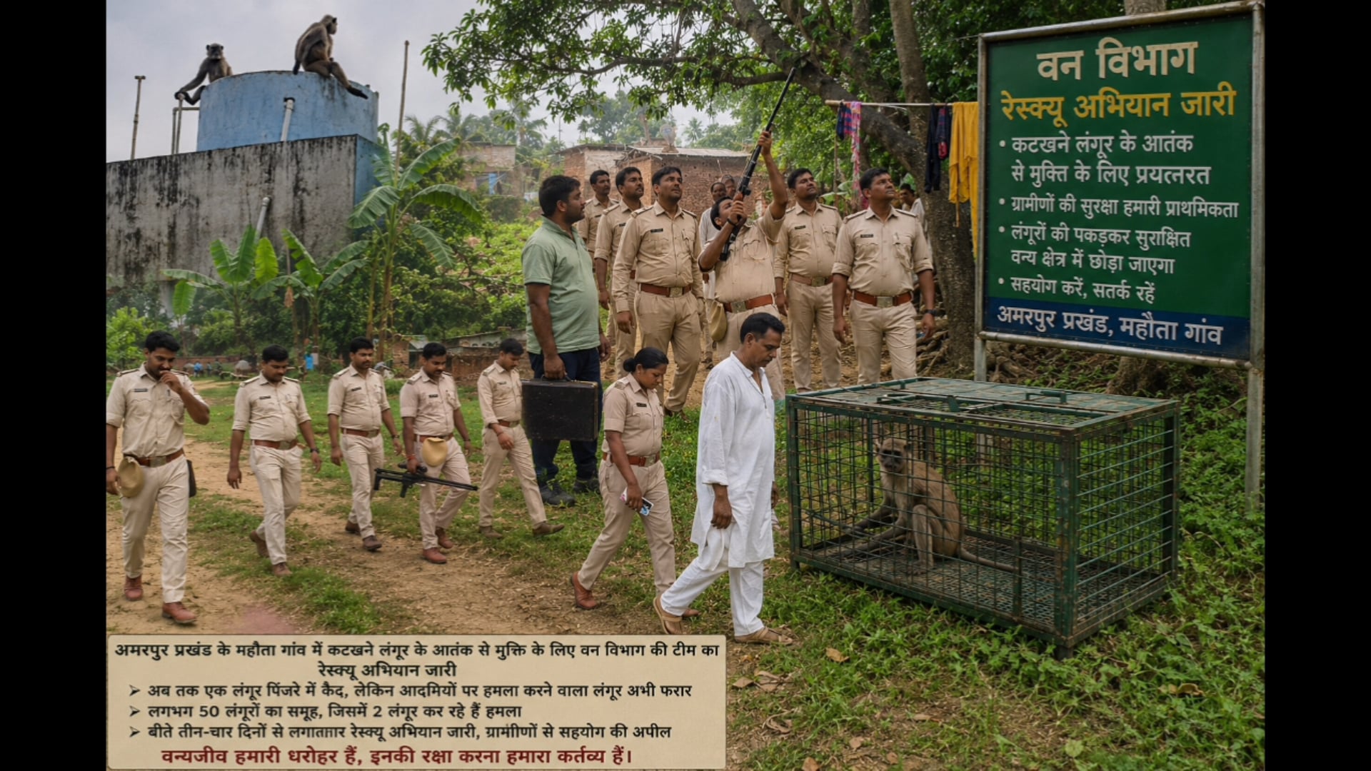 महौता गांव में कटखने लंगूर का आतंक बरकरार,वन विभाग की टीम का रेस्क्यू अभियान जारी।
