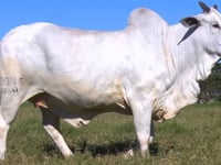 Lote E05
