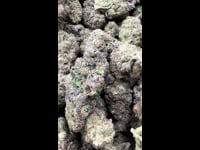 Dosi gelato