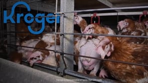 Kroger’s Chairman is profiting from this cruelty