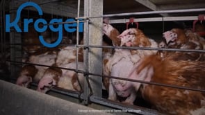 Nora Aufreiter, does Mytheresa know you’re tied to animal cruelty?