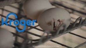 Nora Aufreiter, does Ivey Business School know you’re tied to animal cruelty?
