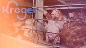 Amanda Sourry, does PVH Corp know you’re tied to animal cruelty?