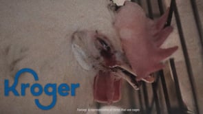 Amanda Sourry, does OFI know you’re tied to animal cruelty?