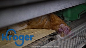 Kevin Brown, does Dell know about your ties to animal cruelty?