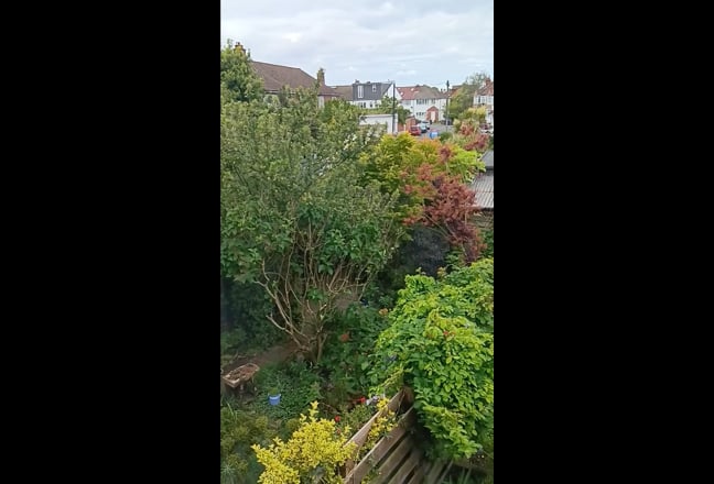 Single, Clean & Peaceful Room with a Garden View Main Photo