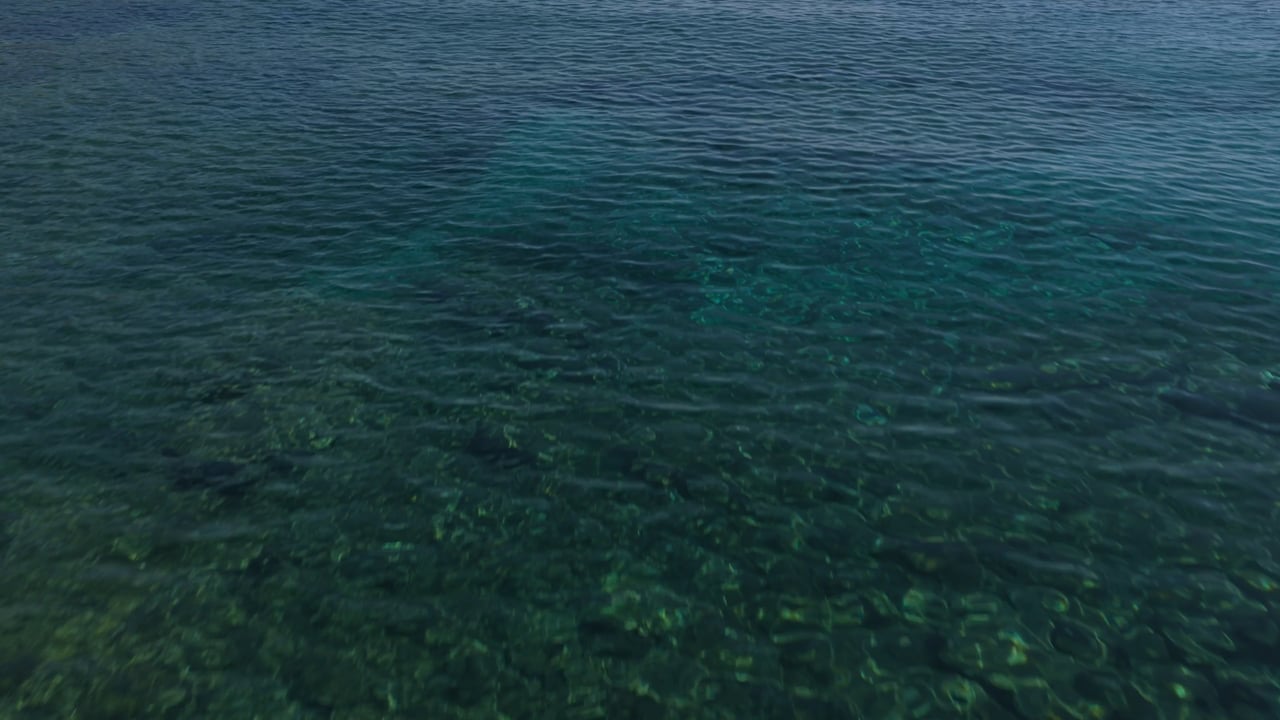 Yacht Video