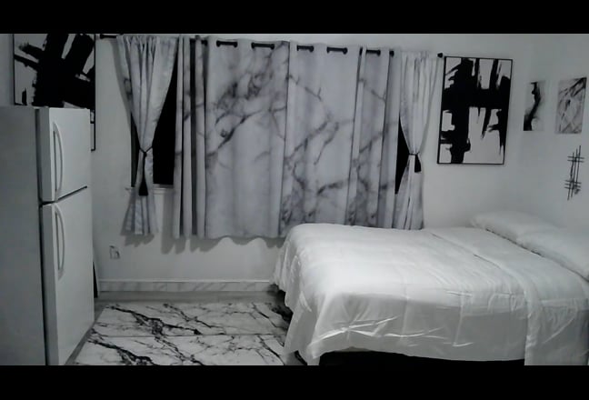 Large furnished room immediately available today  Main Photo