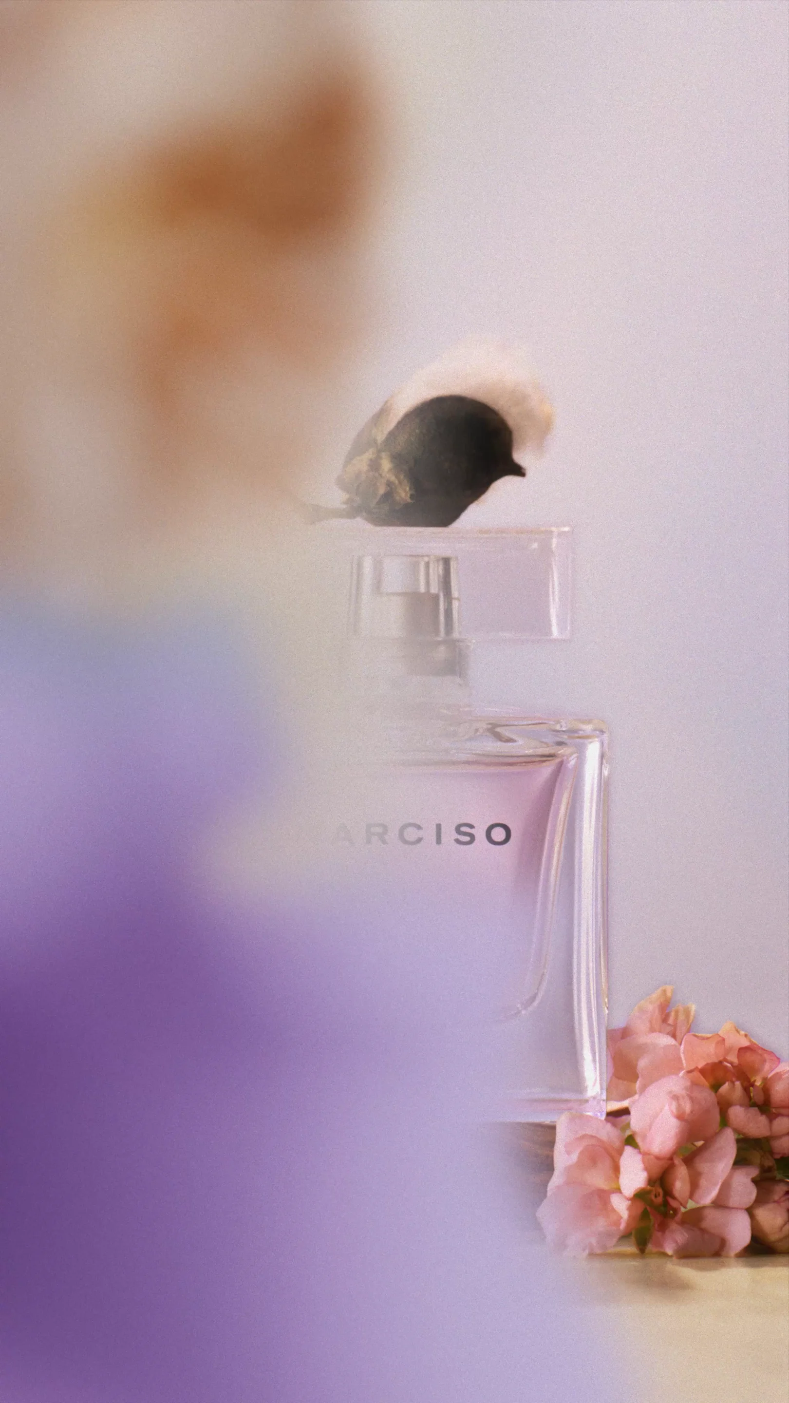 Narciso Rodriguez Radiante Eau de Parfum