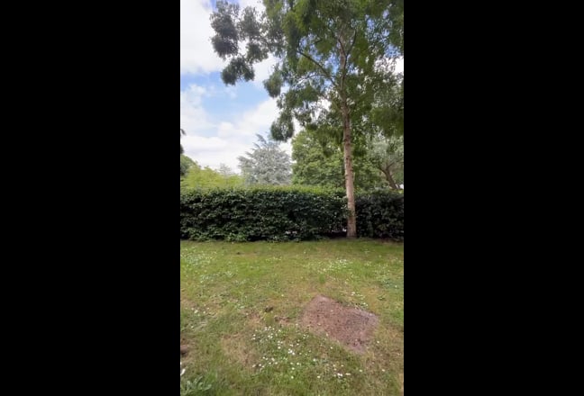 Single Room - Garden and Openplan Iving Area🌳 Main Photo