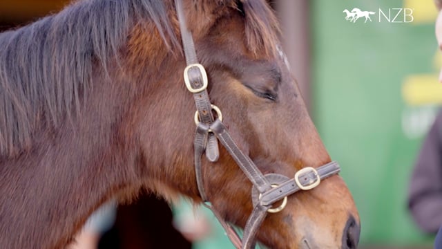 2026 National Weanling Sale | June 25