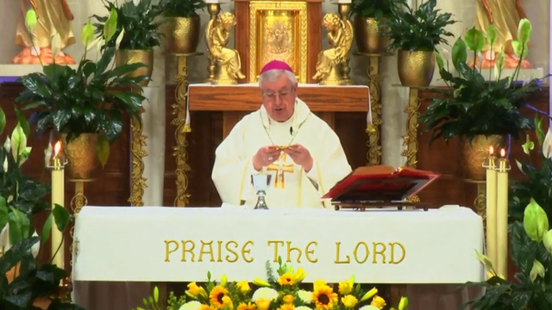 Misa de Nuestra Senora de Loretto - 22 de Mayo de 2026