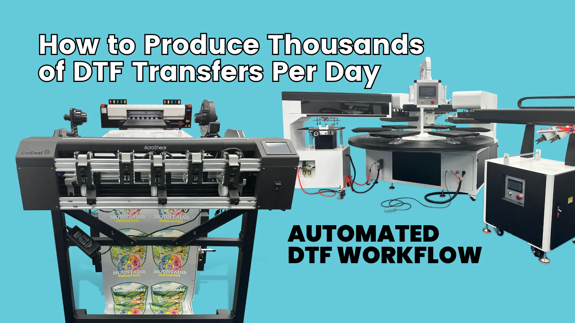 Direct-to-Film 30H2 Transfer Printer - ColDesi