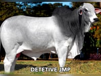 Lote 780