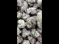 Warhead