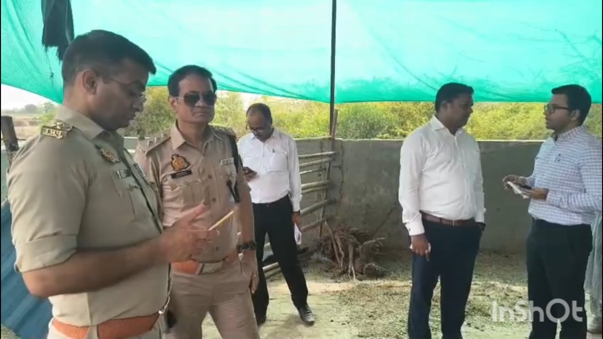 थाना रिफाइनरी क्षेत्र गांव भैंसा मैं गौशाला में एक दर्जन गायों की हुई मौत 