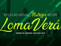 VT COMERCIAL