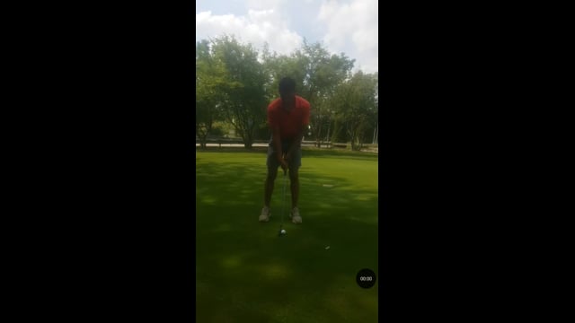 Play swing video
