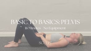 Back to Basics: Pelvis